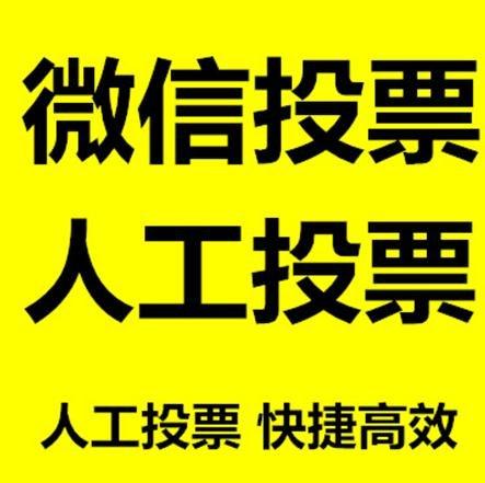 浙江省投票活动拉票能被查出来吗？如何操作能不被发现？